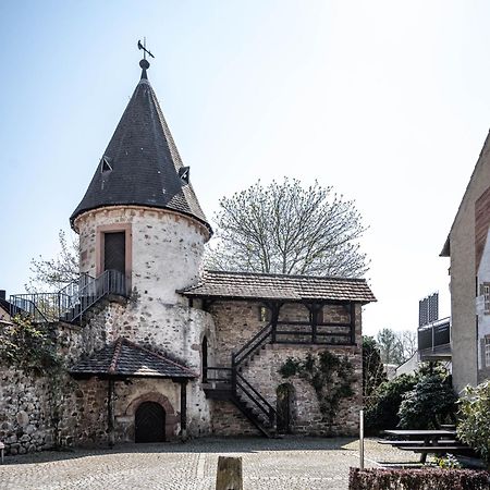 Апартаменты Haus Irmgard Целль-ам-Хармерсбах Экстерьер фото